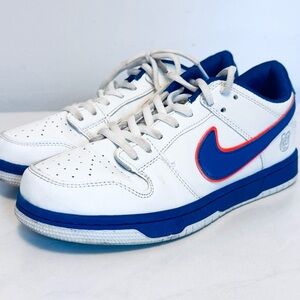 NIKE DUNK Orange and Blue Shoes